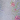 Periwinkle/Multi